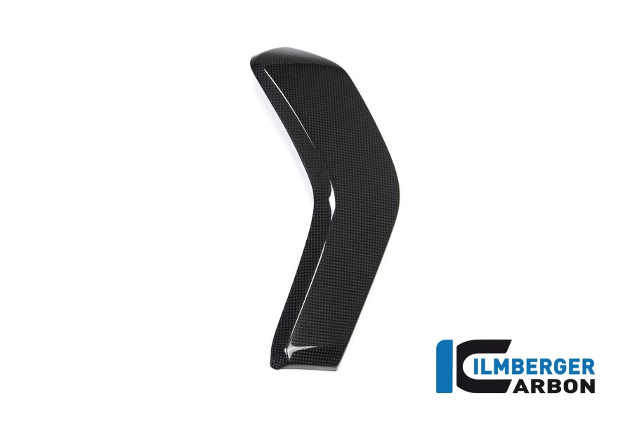 Cubierta de Carbono Brillante para Radiador de Agua Ilmberger lado izquierdo