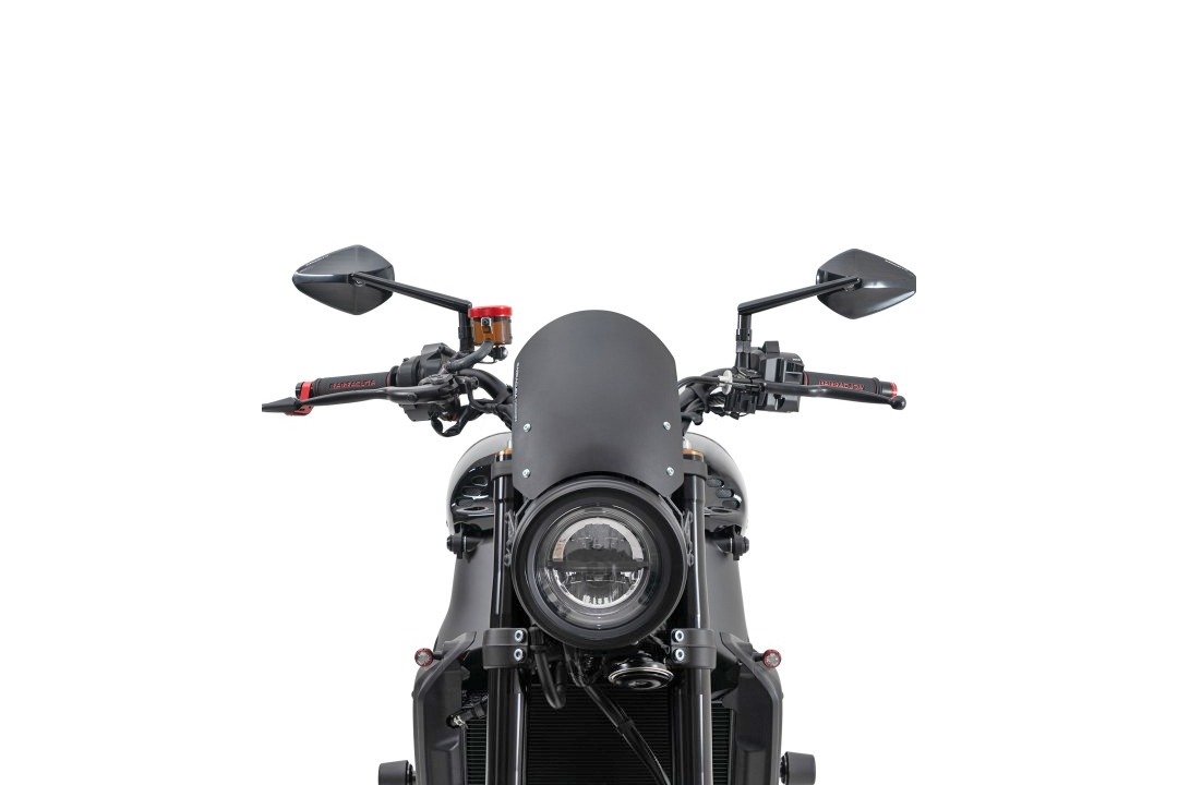 Barracuda Windschild Aerosport Aluminium für Yamaha XSR900