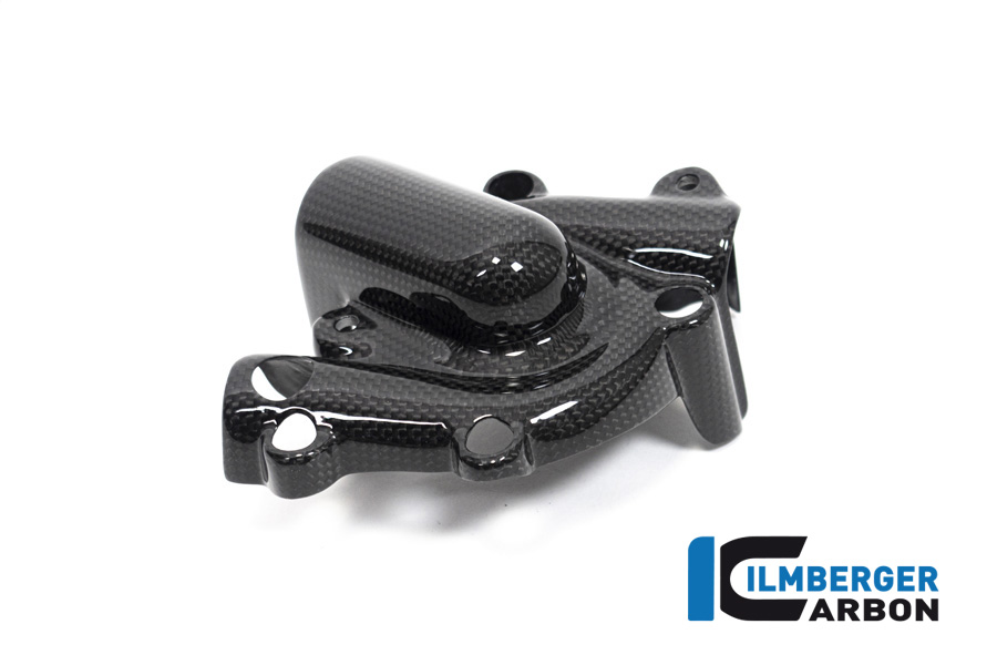 Ilmberger Carbon tapón de la bomba de aguacubierta, brillante, Ducati Monster 1200, 1200S 2017-