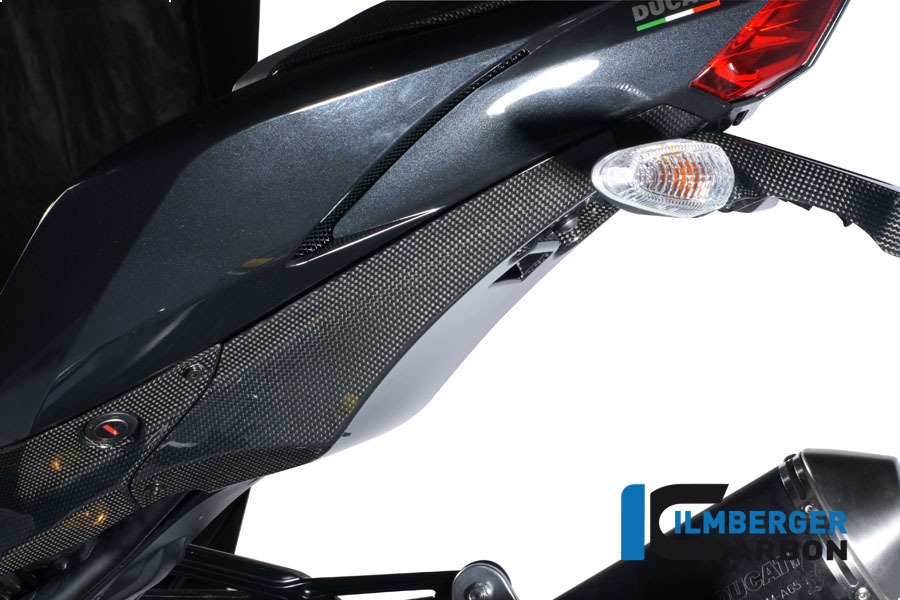 Ilmberger Carbon Tapa Inferior chasis del Colín, Carbono
