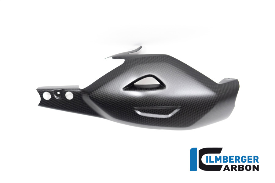 Protector de Basculante Ilmberger Carbono, mate, Ducati Diavel V4, 2023-