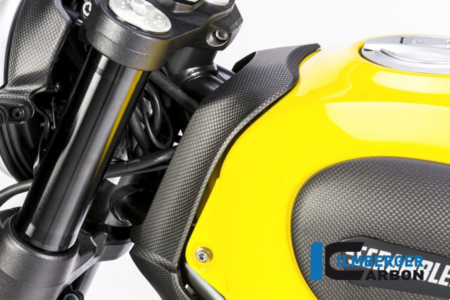 Ilmberger Carbon Cubierta Superior del depósito de gasolina mate