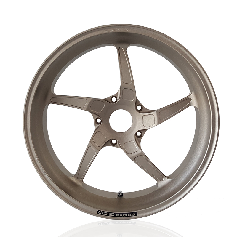 OZ Piega Kit de Conversión 17" BMW R1200GS R1250GS Titanio para disco de freno OEM