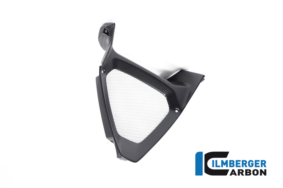 Parte central del spoiler del motor Ilmberger Carbon / radiador de aceiteeinlass, mate, Ducati Diavel 1260, 2019-
