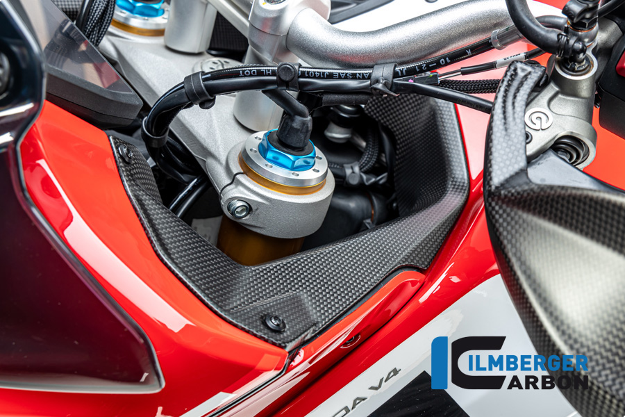 Cubierta de Carbono Ilmberger lado izquierdo junto al salpicadero, mate, Ducati Multistrada V4 2020-