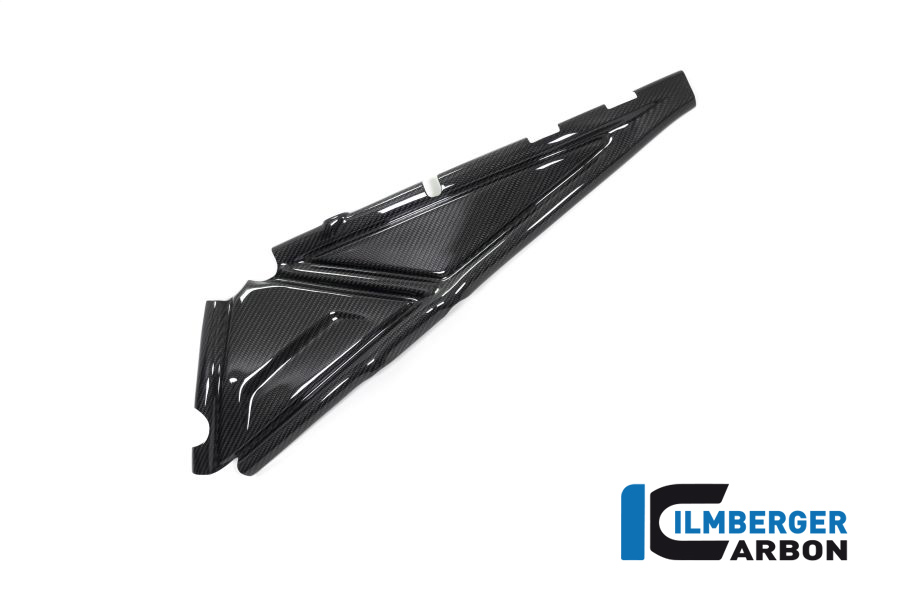 chasistapa trasera lado izquierdo de carbono para BMW R1250GS (Adventure) a partir de 2019