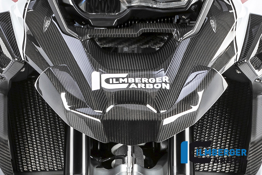 Extensión de pico anterior, delantero de Carbono para BMW R 1250 GS a partir de 2019