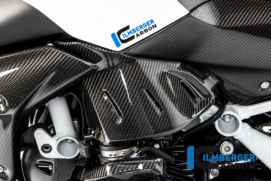 Tapa lateral inferior de carbono para BMW R 1250 R (LC) 2019