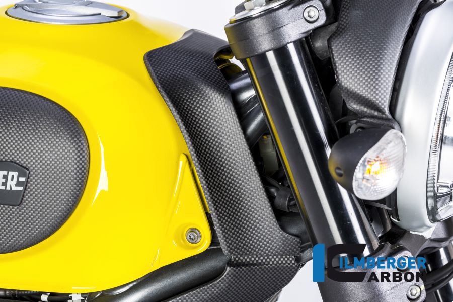 Ilmberger Carbon Cubierta Superior del depósito de gasolina mate