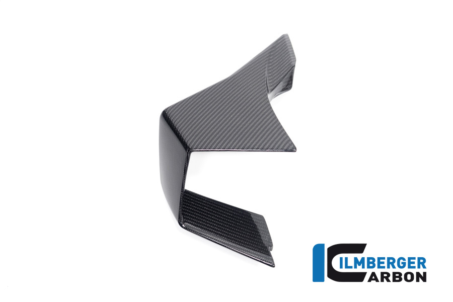 Ilmberger Carbon Winglet lado izquierdo, brillante, BMW M1000RR 2023-