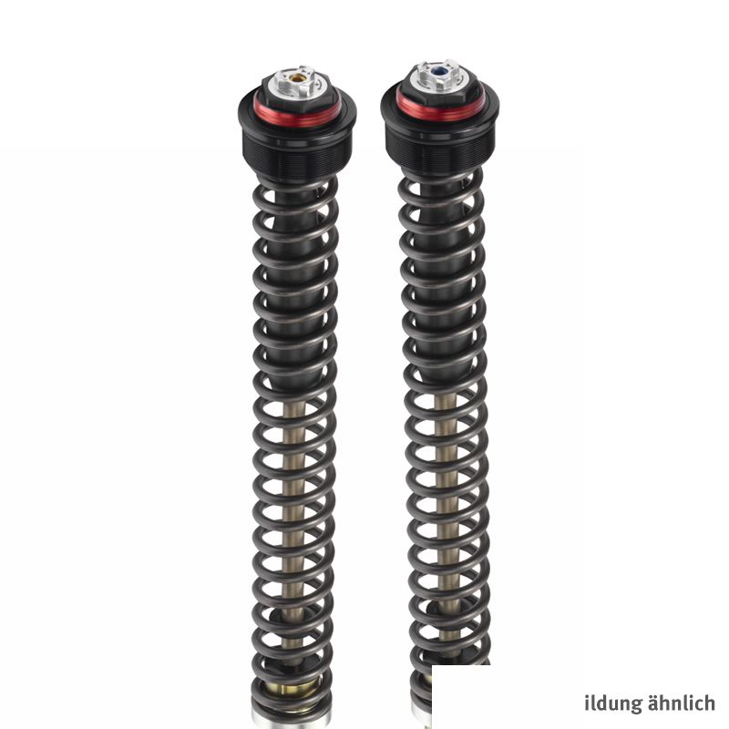 Kit de amortiguadores BITUBO JBH horquilla para Ducati Multistrada 1200 ABS/Touring 2015-