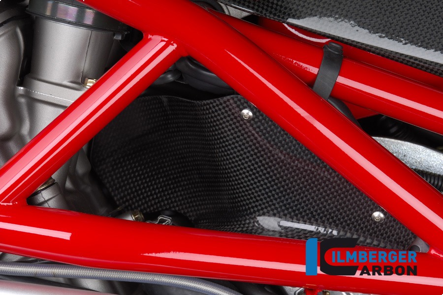 Deflector de aire lateral Ilmberger Carbon, Carbono