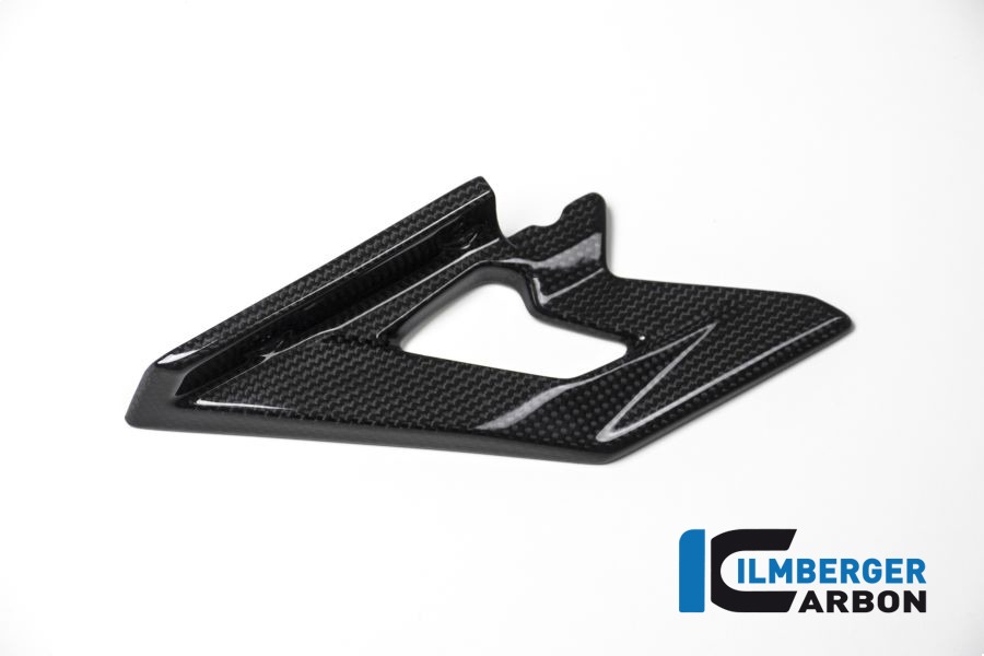 Ilmberger Carbon Inferior cubrecadena brillante