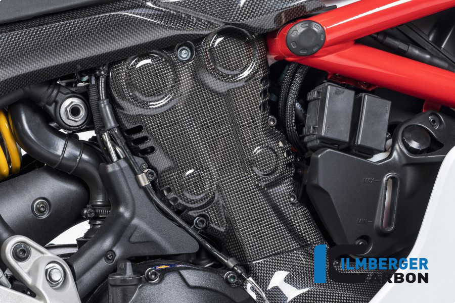 Ilmberger Carbon correa dentadaabdeckung vertical brillante, Carbono