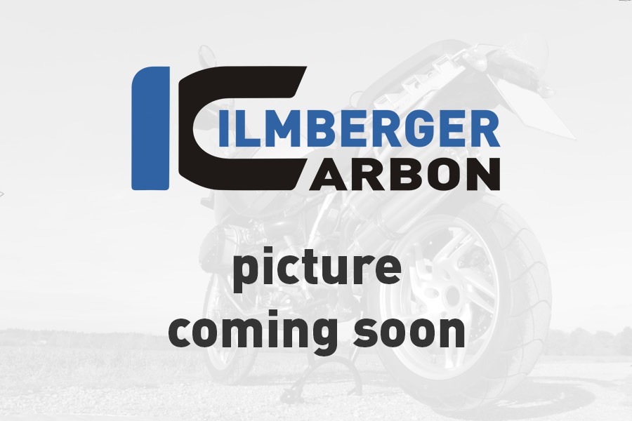 Carenado Frontal Ilmberger Carbon Race