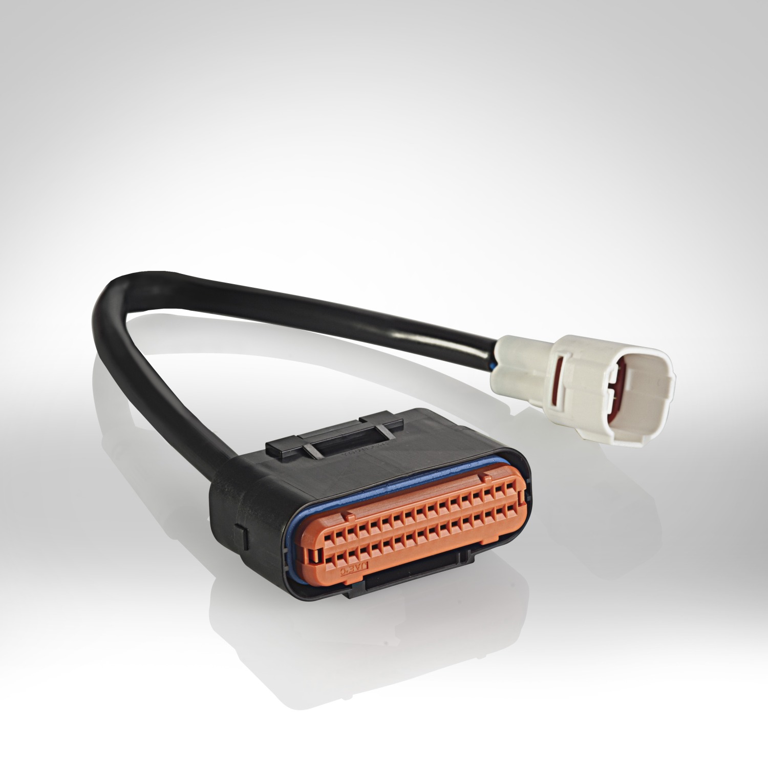 Software Rapid Bike Master Professional