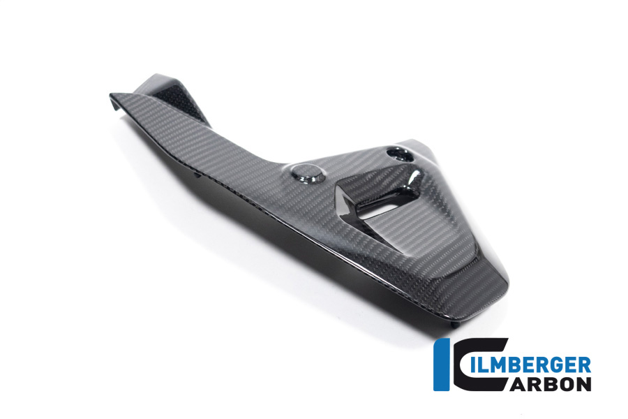 Ilmberger Carbono Tapa del Triángulo del Chasis, brillante, BMW R1300GS 2023-