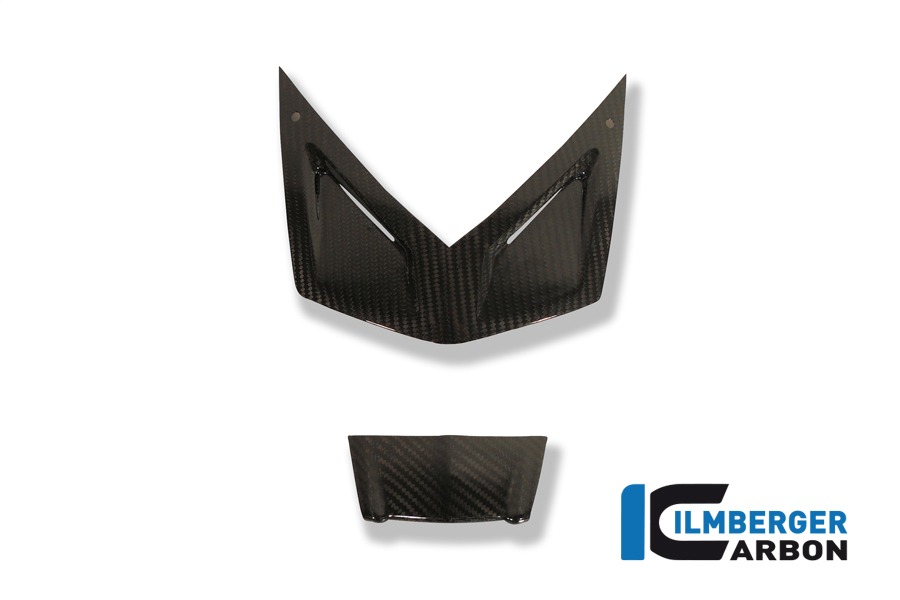 Cubiertas de carenado Ilmberger de carbono junto a la luz, Carbono