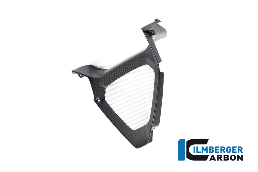 Parte central del spoiler del motor Ilmberger Carbon / radiador de aceiteeinlass, mate, Ducati Diavel 1260, 2019-