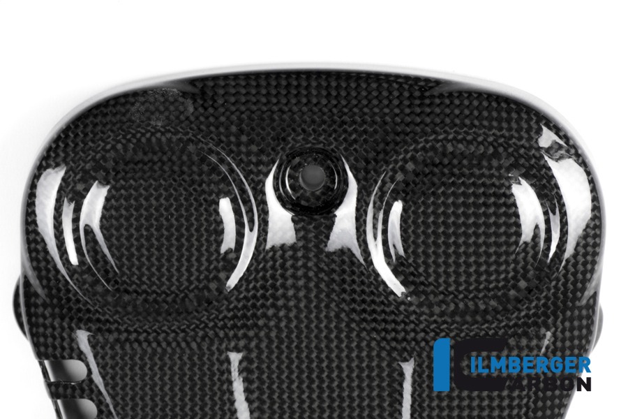 Ilmberger Carbon correa dentadaabdeckung vertical brillante, Carbono