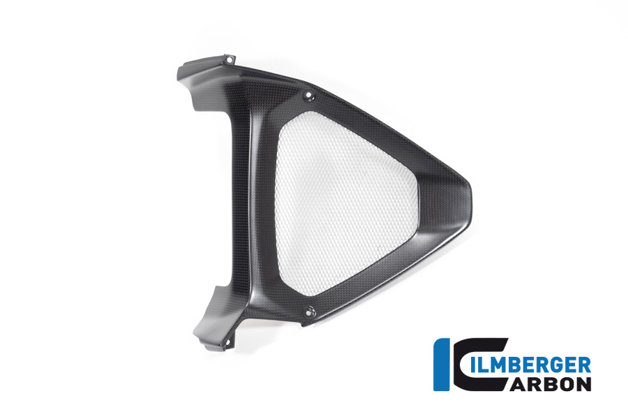 Parte central del spoiler del motor Ilmberger Carbon / radiador de aceiteeinlass, mate, Ducati Diavel 1260, 2019-