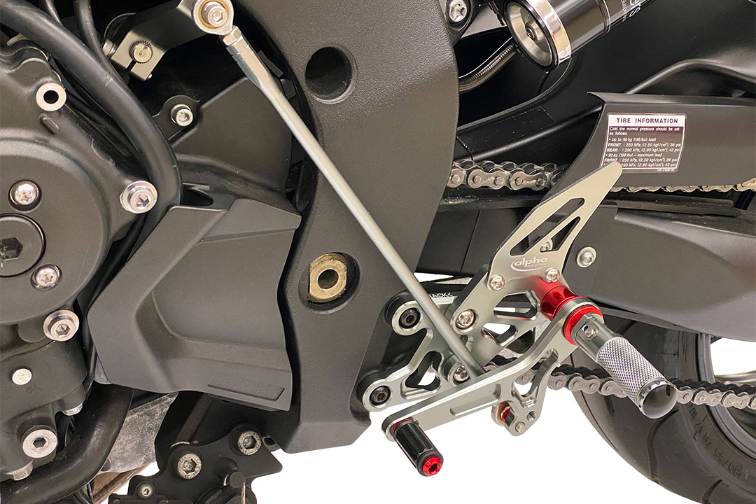 >TRACK< Sistema de Estriberas de color titanio Yamaha FZ1 (Fazer) 2006-2015 / FZ8 (Fazer) 2010-2013 ABE