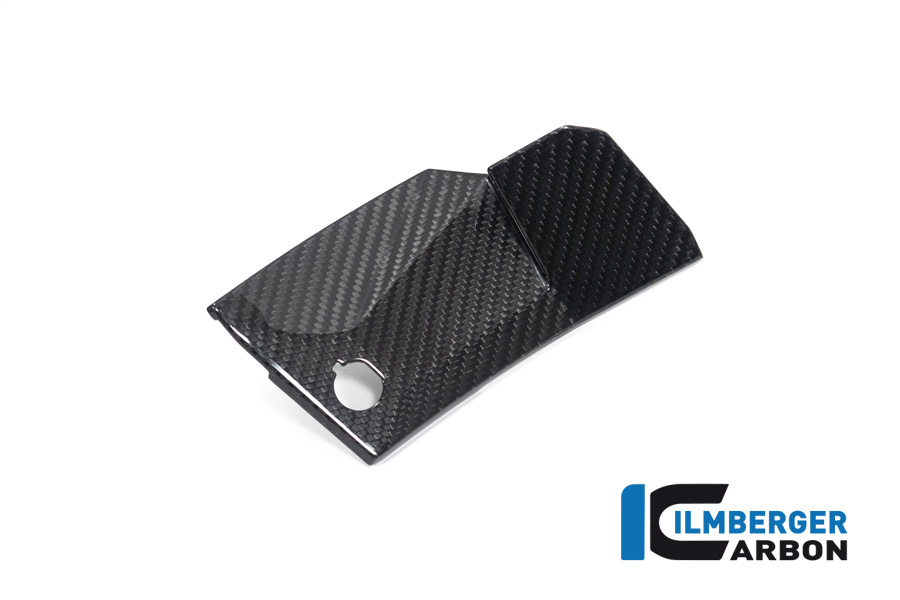Ilmberger Carbon Abdeckung links neben Cockpit BMW S1000XR ab 2020- M1000XR 2024-