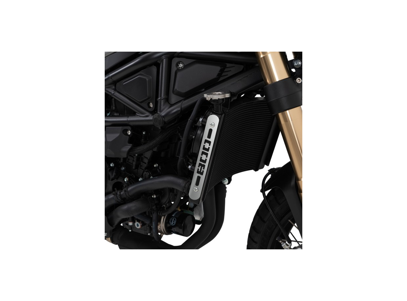Carenado Barracuda radiadorr para Benelli Leoncino año de modelo 2022-