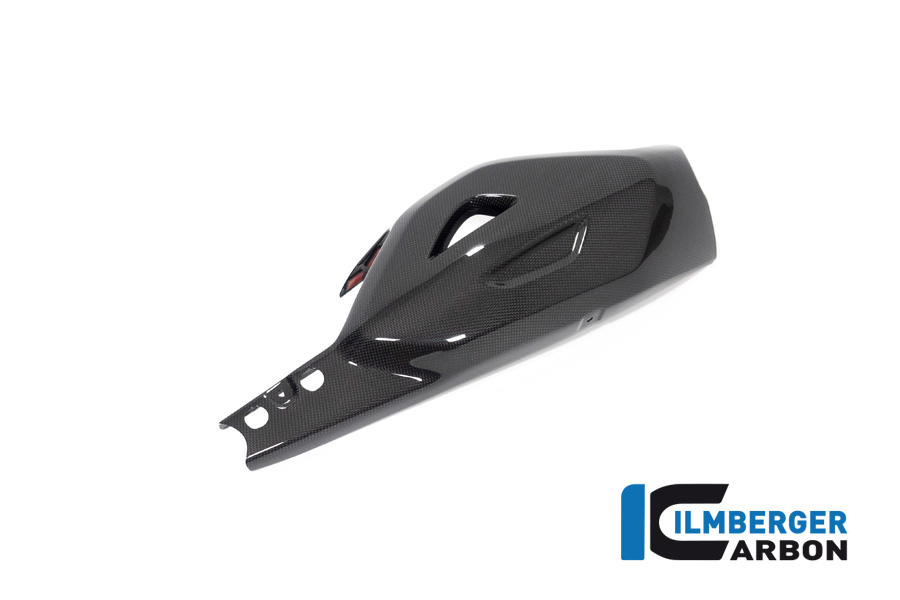 Protector de basculante de carbono Ilmberger, brillante, Ducati Diavel V4, 2023-