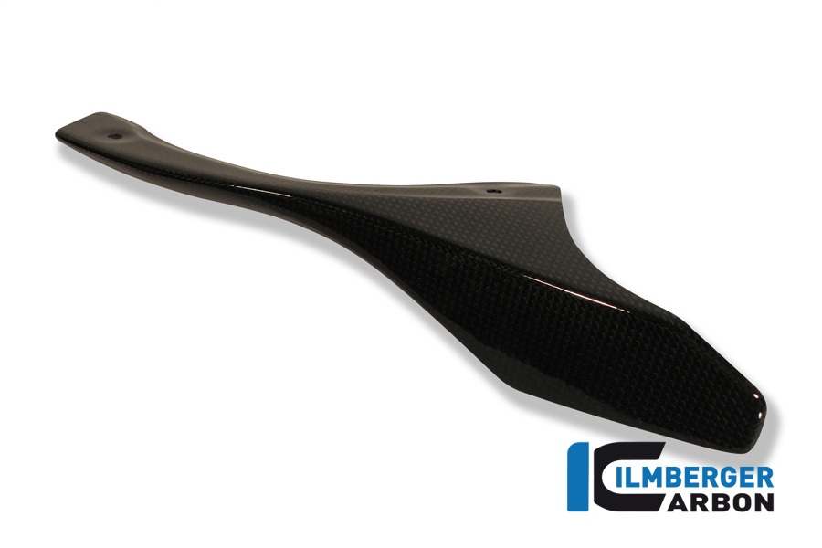 Ilmberger Carbon cubrecadena en el basculante, Carbono