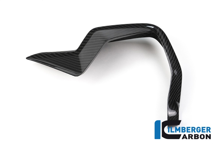 Protectores de mano de carbono Ilmberger lado derecho BMW S1000XR 2015- M1000XR 2024-