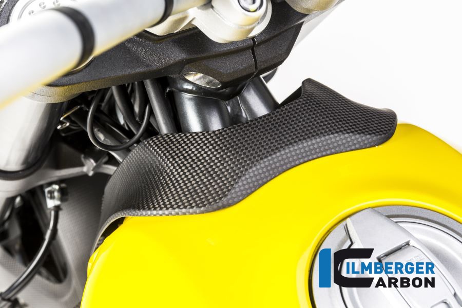 Ilmberger Carbon Cubierta Superior del depósito de gasolina mate