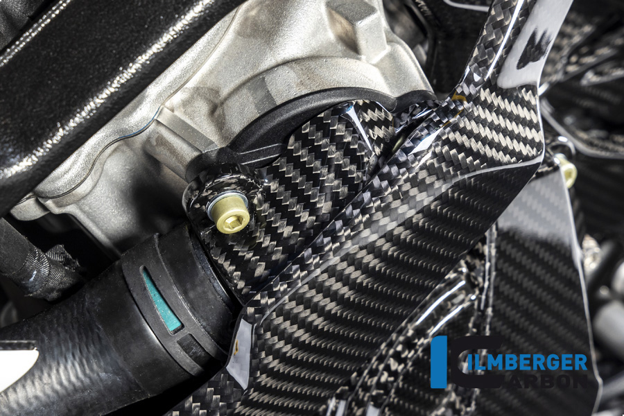 Ilmberger Carbon cubierta del tapón de la bomba de agua, BMW S1000RR 2019- , M1000RR 2020-, M1000R 2023-