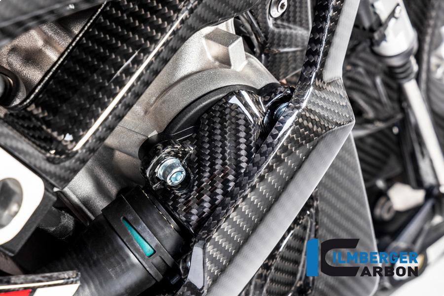 Ilmberger Carbon cubierta del tapón de la bomba de agua, BMW S1000RR 2019- , M1000RR 2020-, M1000R 2023-