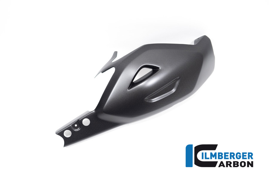 Protector de Basculante Ilmberger Carbono, mate, Ducati Diavel V4, 2023-