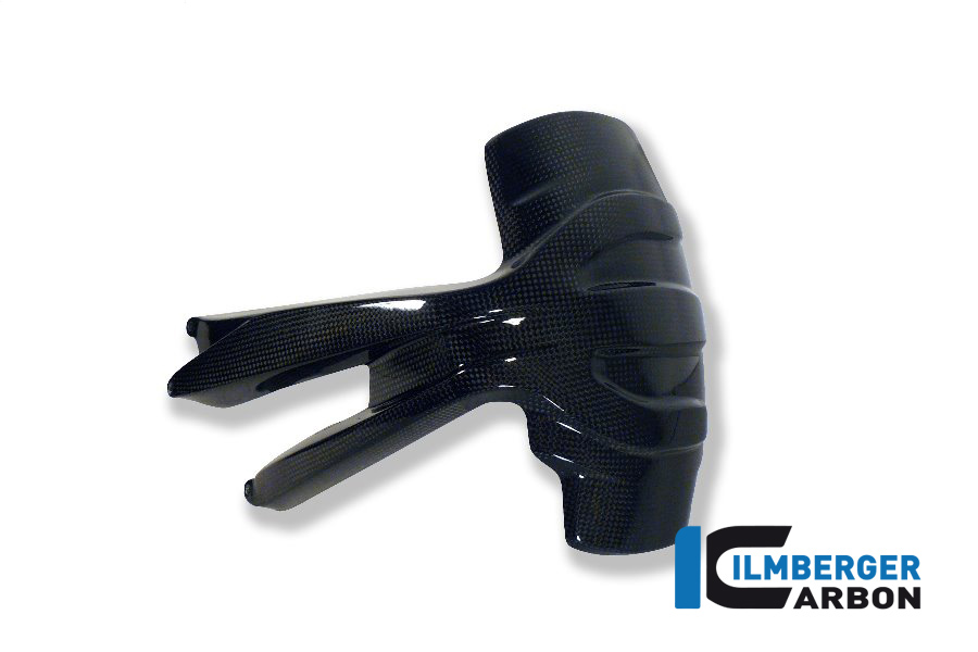 Ilmberger Carbon protección contra el refrigerante brillante BMW R1200GS 2013- R1200GS Adventure 2014-