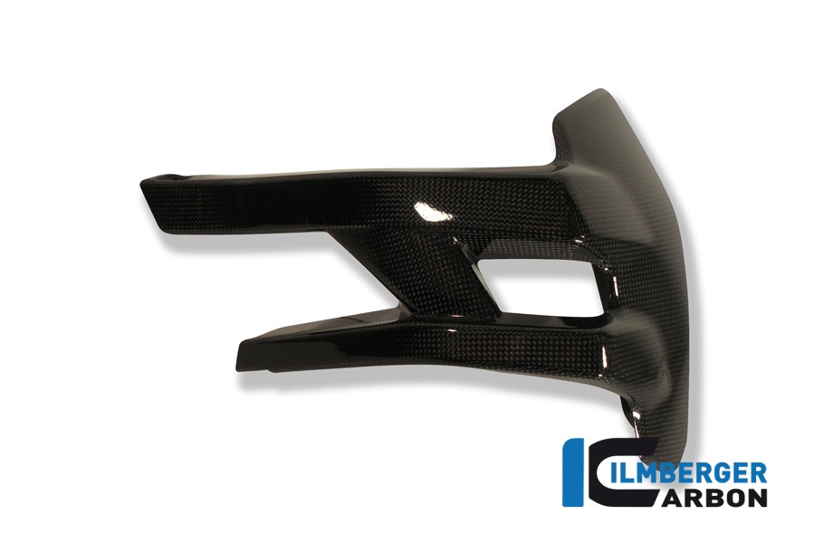 Ilmberger Carbon Guardabarros trasero, Carbon