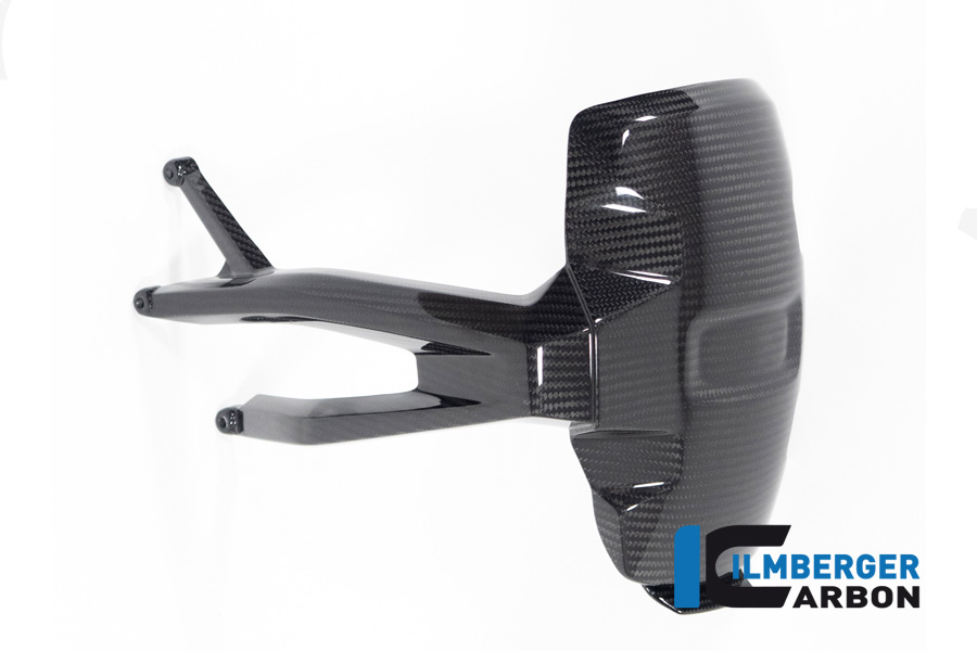 Ilmberger Carbon protección contra el refrigerante, brillante, BMW R1300GS 2023-