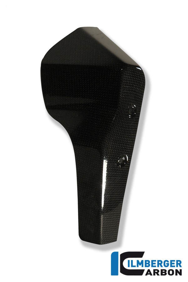 Cubierta de carbono del radiador de agua Ilmberger lado derecho, Carbono