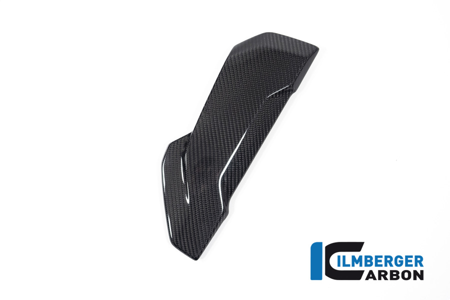 Tapa de asiento de pasajero Ilmberger Carbono, brillante, BMW S1000R 2020-, M1000R 2023-