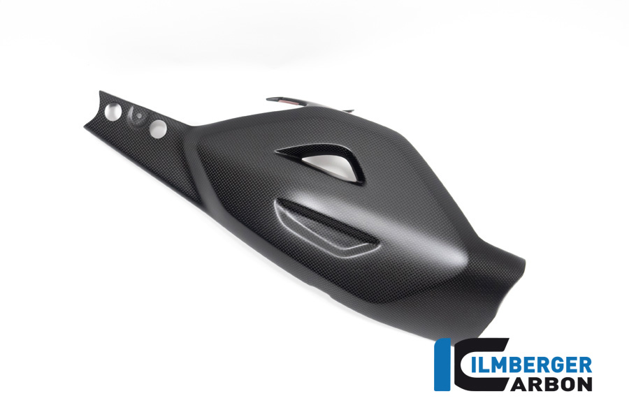 Protector de Basculante Ilmberger Carbono, mate, Ducati Diavel V4, 2023-