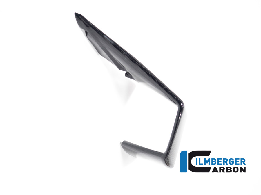 Ilmberger Carbon Winglet lado izquierdo, brillante, BMW M1000RR 2023-