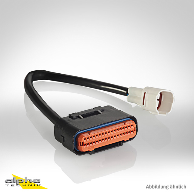 Cable de conexión Rapid Bike