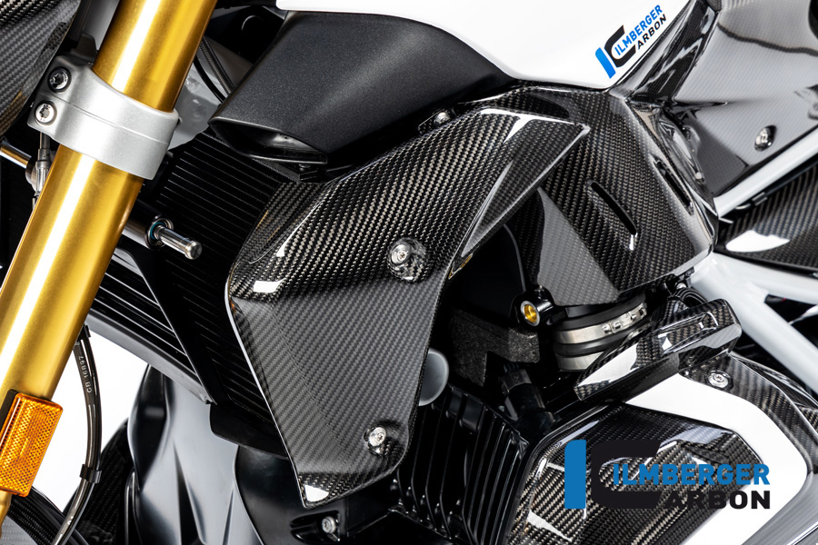 Cubierta del radiador de agua lado izquierdo Carbono BMW R 1250 R (LC) 2019