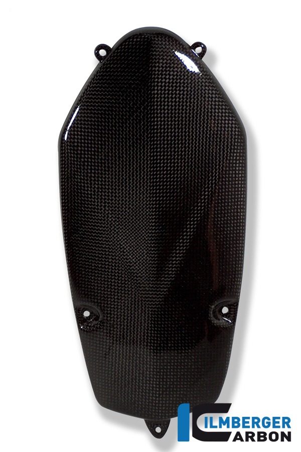 Tapa de alternador Ilmberger Carbono, Carbono