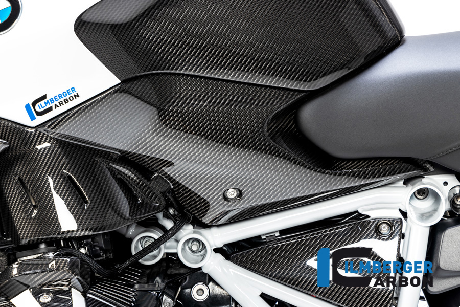 Tapa lateral inferior de carbono para BMW R 1250 R (LC) 2019