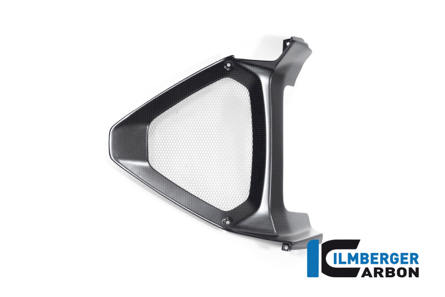 Parte central del spoiler del motor Ilmberger Carbon / radiador de aceiteeinlass, mate, Ducati Diavel 1260, 2019-