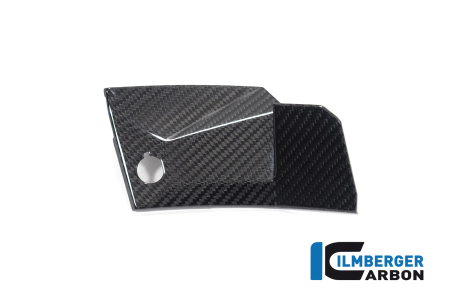 Ilmberger Carbon Abdeckung links neben Cockpit BMW S1000XR ab 2020- M1000XR 2024-