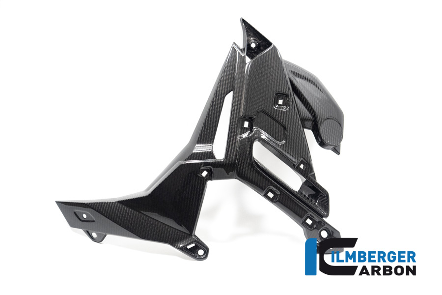 Ilmberger Cubierta de Radiador de Carbono lado izquierdo, brillante, BMW S1000R 2021-