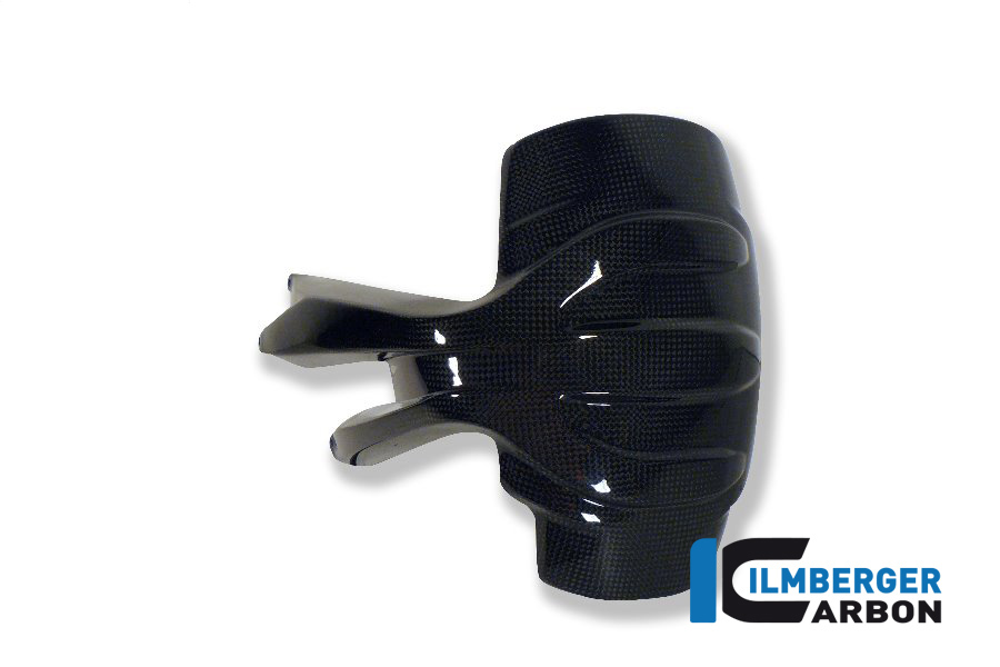 Ilmberger Carbon protección contra el refrigerante brillante BMW R1200GS 2013- R1200GS Adventure 2014-